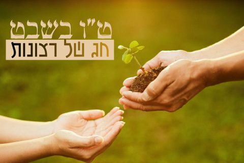 חג של רצונות