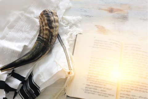 xr:d:DAFuCBGzCvs:15,j:1791709211557284726,t:23091008