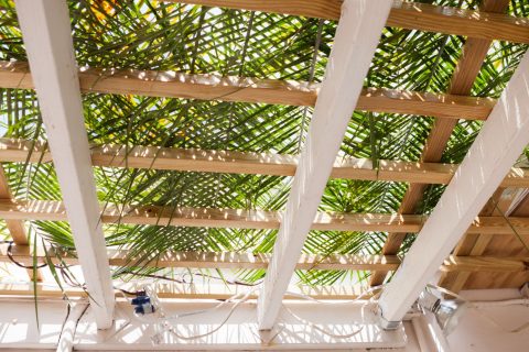 xr:d:DAFviApZc5Y:12,j:6497972469686171833,t:23092608