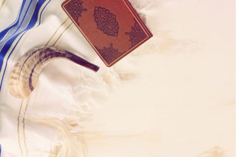 xr:d:DAFuCBGzCvs:18,j:1791709211364890708,t:23091008