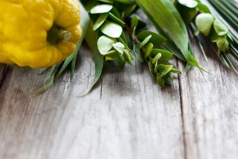 xr:d:DAFviApZc5Y:14,j:4984762993817546135,t:23092608