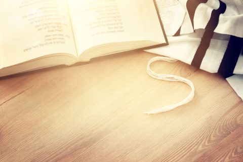 xr:d:DAFuCBGzCvs:33,j:5794283377672914626,t:23091008