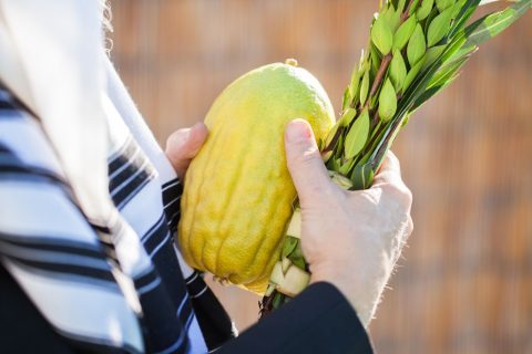 xr:d:DAFviApZc5Y:11,j:3702363000033823427,t:23092608