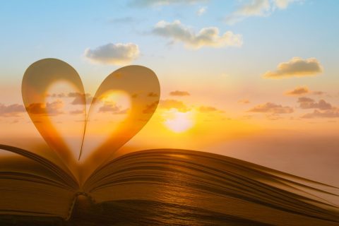 xr:d:DAFviApZc5Y:18,j:5734612332834494129,t:23092608