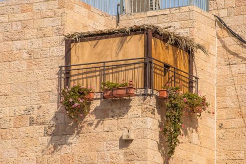 xr:d:DAFviApZc5Y:13,j:3348830431057869745,t:23092608