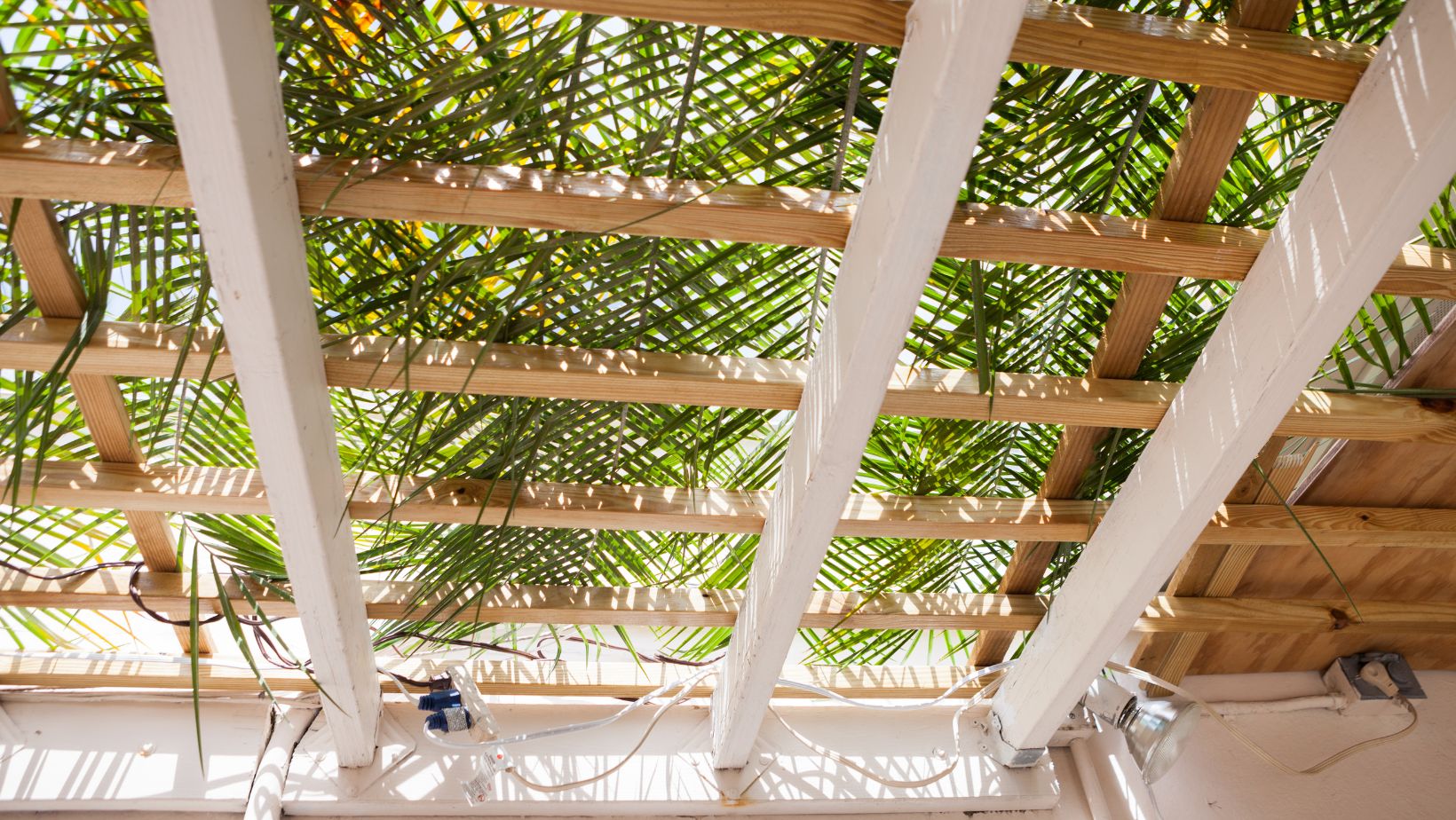 xr:d:DAFviApZc5Y:12,j:6497972469686171833,t:23092608