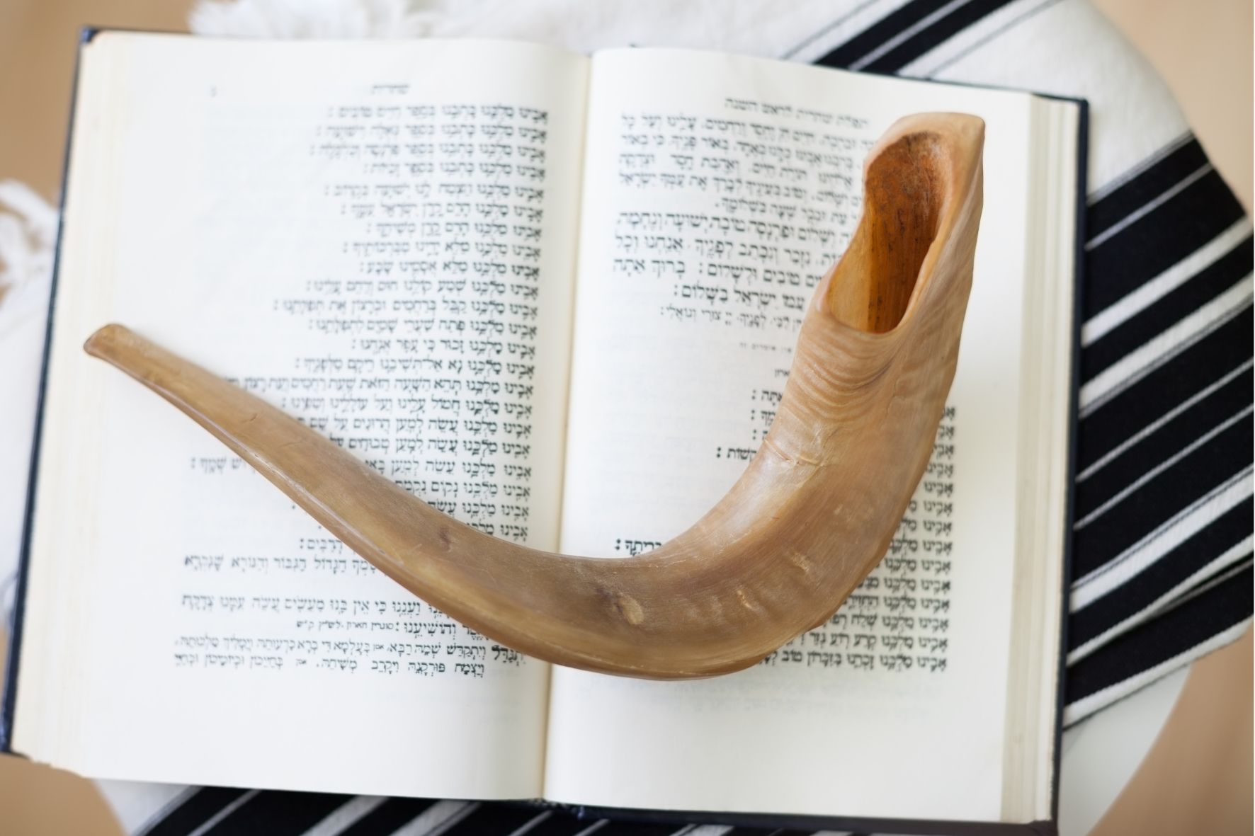 xr:d:DAFuCBGzCvs:12,j:2019140991928944794,t:23091008