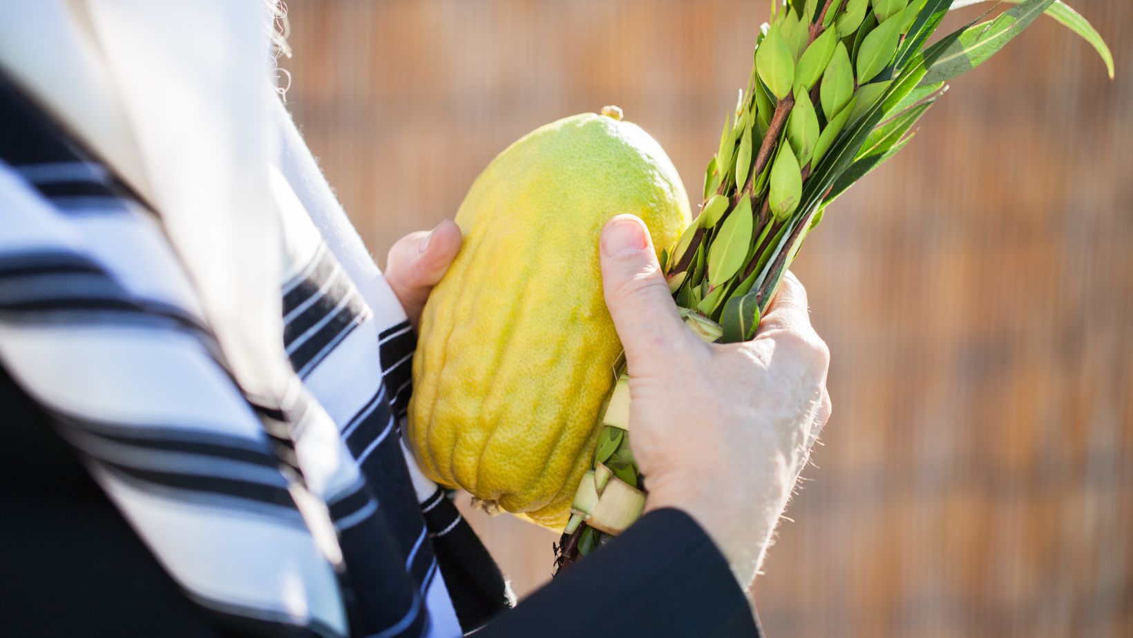 xr:d:DAFviApZc5Y:11,j:3702363000033823427,t:23092608