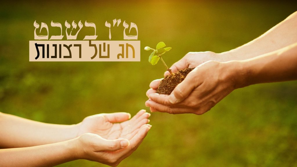 חג של רצונות