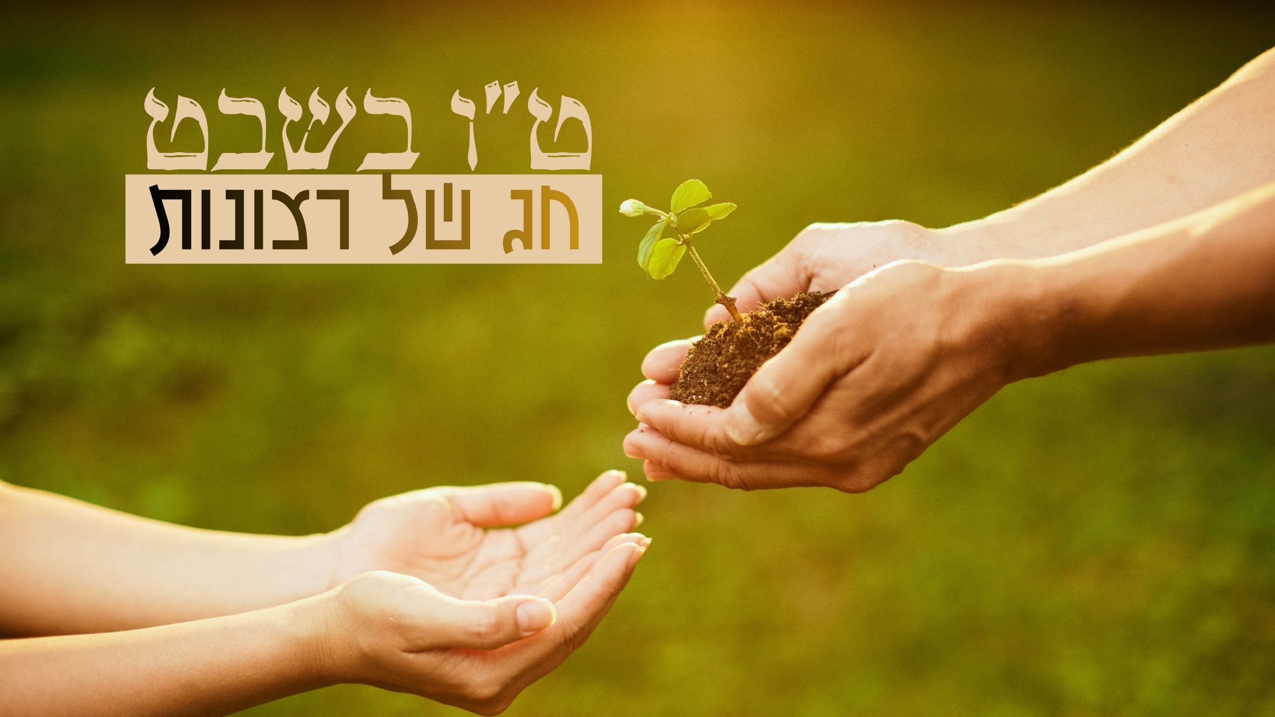 חג של רצונות